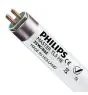 Philips MASTER TL5 HE 35W - 865 Luce del Giorno | 145cm