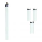 Confezione Multipack 10x Philips MASTER TL5 HE 35W - 840 Bianco Freddo | 145cm