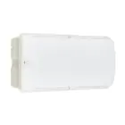 Philips Bulkhead LED Ledinaire WL055V Bianca 8W 600lm - 830 Luce Calda | 374x150mm - IP65